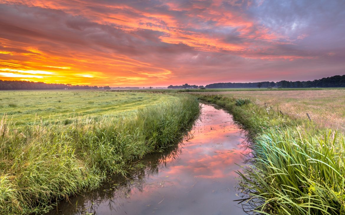 Spiritual voyage concept summer sunrise over lowland river